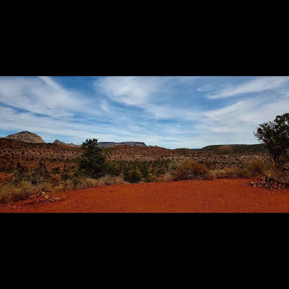 Meet your Posher, Yvette